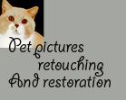 pets.retouchingart.com