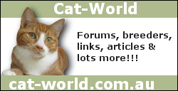 Cat-World